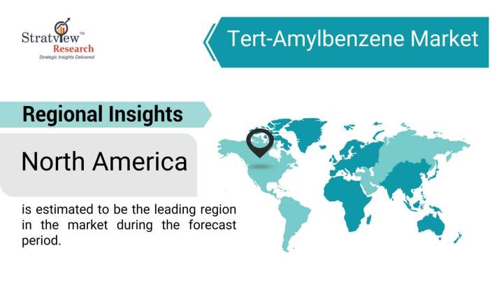 Tert-Amylbenzene-Market-Regional-Insights